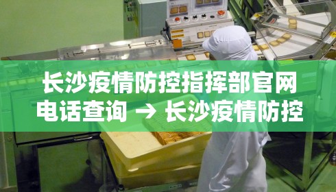 长沙疫情防控指挥部官网电话查询 → 长沙疫情防控指挥部官网电话查询号码
