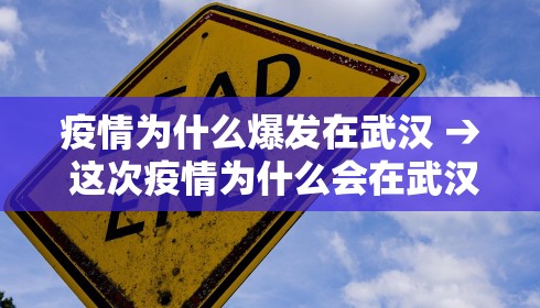 疫情为什么爆发在武汉 → 这次疫情为什么会在武汉爆发