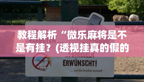 教程解析“微乐麻将是不是有挂？(透视挂真的假的)
