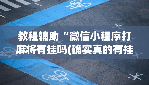 教程辅助“皮皮湖南跑胡子开挂”（透视挂）辅助神器教程