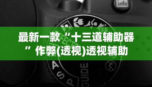 最新一款“十三道辅助器”作弊(透视)透视辅助