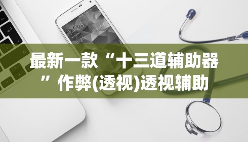 最新一款“十三道辅助器”作弊(透视)透视辅助