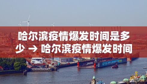 哈尔滨疫情爆发时间是多少 → 哈尔滨疫情爆发时间是多少年