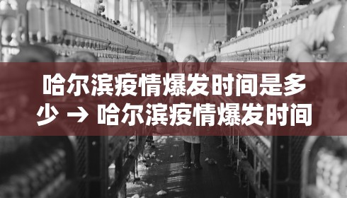 哈尔滨疫情爆发时间是多少 → 哈尔滨疫情爆发时间是多少年
