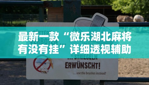 最新一款“微乐湖北麻将有没有挂”详细透视辅助教程官方正版下载