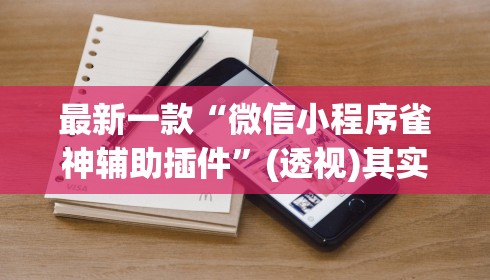 最新一款“微信小程序雀神辅助插件”(透视)其实确实有挂