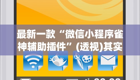 最新一款“微信小程序雀神辅助插件”(透视)其实确实有挂