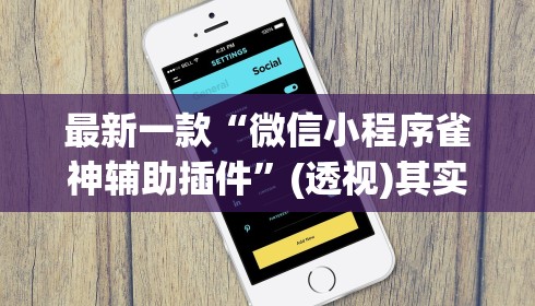 最新一款“微信小程序雀神辅助插件”(透视)其实确实有挂