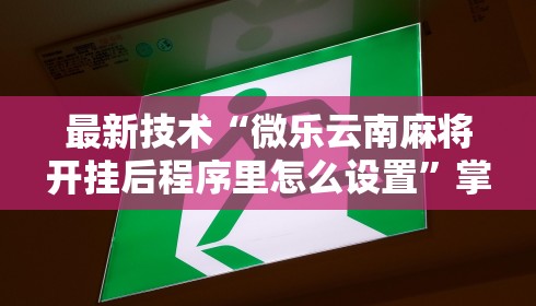 最新技术“微乐云南麻将开挂后程序里怎么设置”掌握辅助功能必胜规则