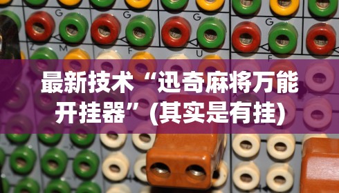 最新技术“迅奇麻将万能开挂器”(其实是有挂)