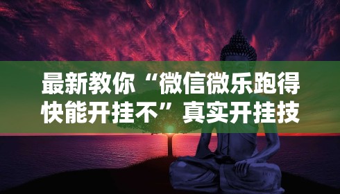最新教你“微信微乐跑得快能开挂不”真实开挂技巧分享