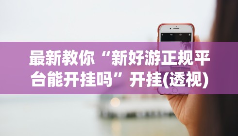 最新教你“新好游正规平台能开挂吗”开挂(透视)辅助神器