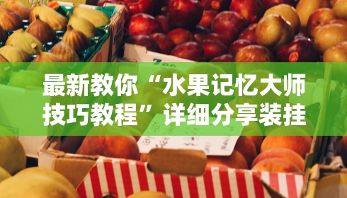 最新教你“水果记忆大师技巧教程”详细分享装挂步骤教程