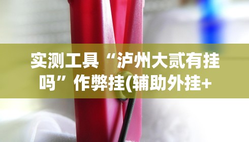 实测工具“泸州大贰有挂吗”作弊挂(辅助外挂+