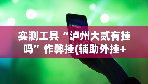 实测工具“泸州大贰有挂吗”作弊挂(辅助外挂+