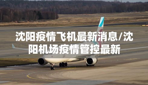 沈阳疫情飞机最新消息/沈阳机场疫情管控最新