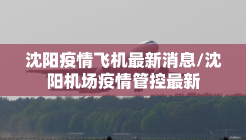 沈阳疫情飞机最新消息/沈阳机场疫情管控最新