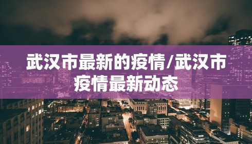 武汉市最新的疫情/武汉市疫情最新动态