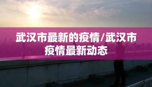 武汉市最新的疫情/武汉市疫情最新动态 武汉市最新的疫情/武汉市疫情最新动态