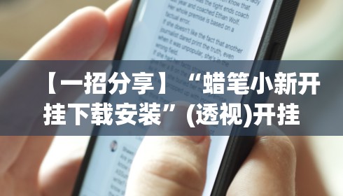 【一招分享】“蜡笔小新开挂下载安装”(透视)开挂辅助脚本+详细开挂安装教程