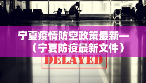 宁夏疫情防空政策最新—(宁夏防疫最新文件)