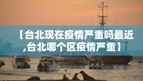 【台北现在疫情严重吗最近,台北哪个区疫情严重】