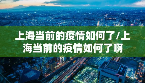 上海当前的疫情如何了/上海当前的疫情如何了啊