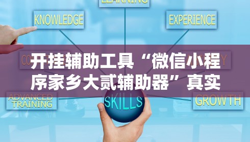 开挂辅助工具“微信小程序家乡大贰辅助器”真实开挂技巧分享