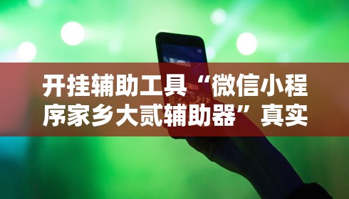 开挂辅助工具“微信小程序家乡大贰辅助器”真实开挂技巧分享