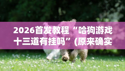 2026首发教程“哈狗游戏十三道有挂吗”(原来确实是有挂) 