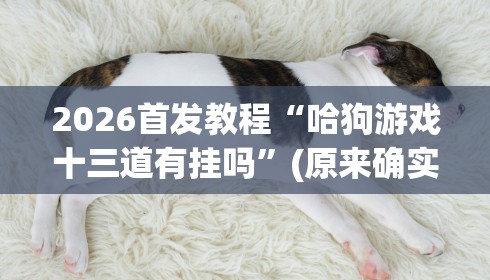 2026首发教程“哈狗游戏十三道有挂吗”(原来确实是有挂) 