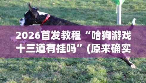 2026首发教程“哈狗游戏十三道有挂吗	”(原来确实是有挂) 