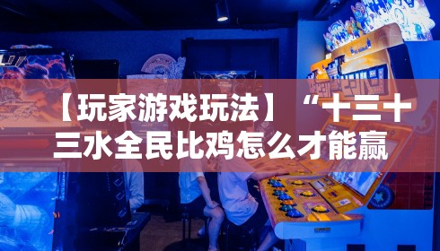 【玩家游戏玩法】“十三十三水全民比鸡怎么才能赢技巧”真实开挂技巧分享