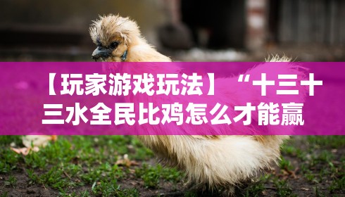 【玩家游戏玩法】“十三十三水全民比鸡怎么才能赢技巧”真实开挂技巧分享