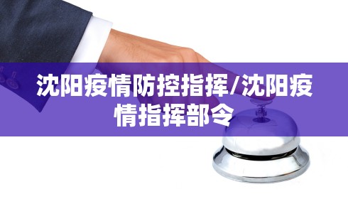 沈阳疫情防控指挥/沈阳疫情指挥部令