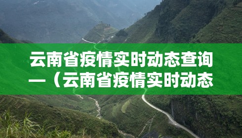 云南省疫情实时动态查询—(云南省疫情实时动态查询表)