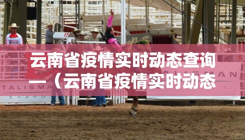 云南省疫情实时动态查询—(云南省疫情实时动态查询表) 云南省疫情实时动态查询—(云南省疫情实时动态查询表)