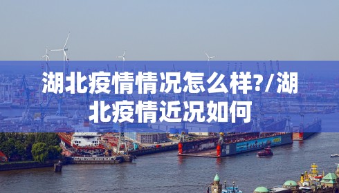 湖北疫情情况怎么样?/湖北疫情近况如何
