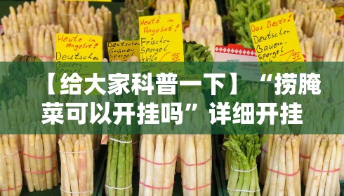 【给大家科普一下】“捞腌菜可以开挂吗”详细开挂教程