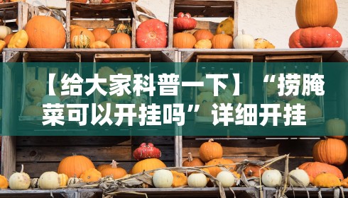 【给大家科普一下】“捞腌菜可以开挂吗”详细开挂教程