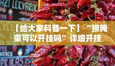 【给大家科普一下】“捞腌菜可以开挂吗	”详细开挂教程