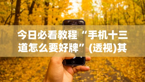 今日必看教程“手机十三道怎么要好牌”(透视)其实确实有挂