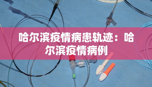 哈尔滨疫情病患轨迹：哈尔滨疫情病例