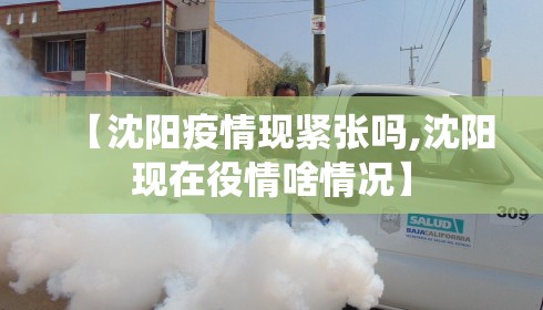【沈阳疫情现紧张吗,沈阳现在役情啥情况】