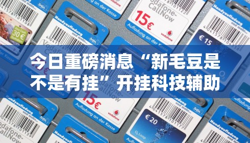 今日重磅消息“新毛豆是不是有挂”开挂科技辅助神器手机