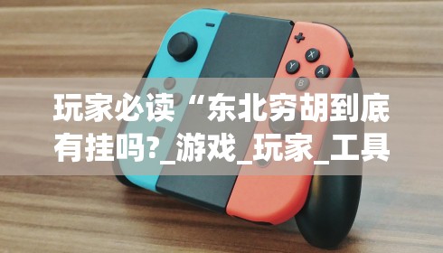 玩家必读“东北穷胡到底有挂吗?_游戏_玩家_工具