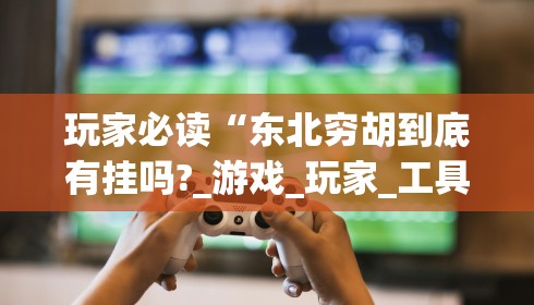 玩家必读“东北穷胡到底有挂吗?_游戏_玩家_工具