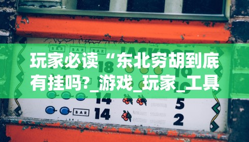 玩家必读“东北穷胡到底有挂吗?_游戏_玩家_工具