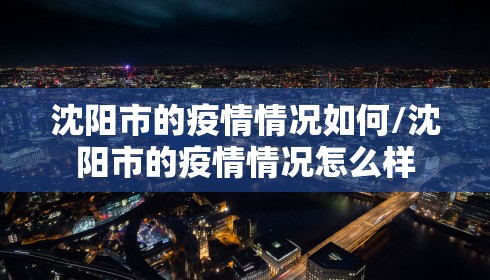 沈阳市的疫情情况如何/沈阳市的疫情情况怎么样