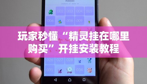 玩家秒懂“精灵挂在哪里购买”开挂安装教程
